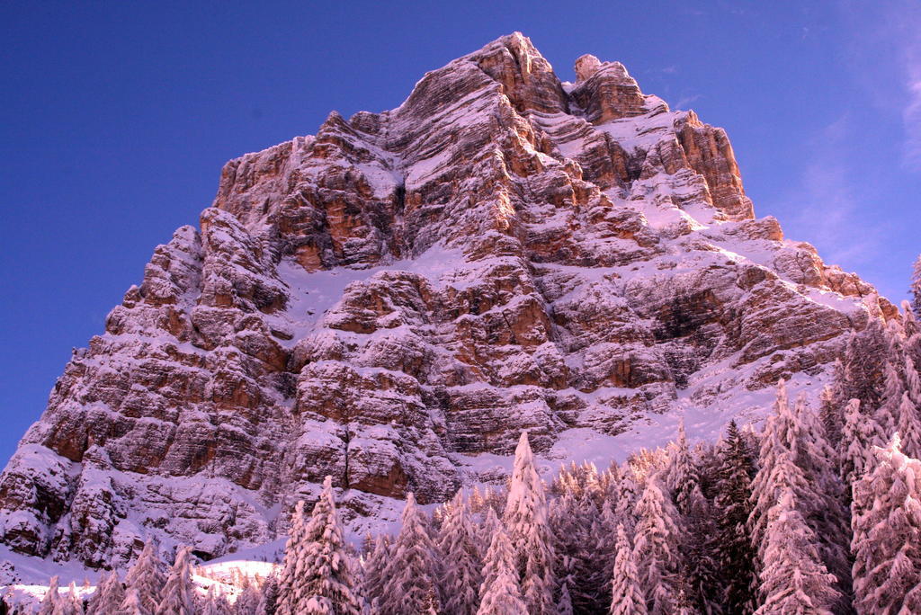 Rifugio Passo Staulanza Hotel Zoldo Alto Esterno foto